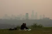 Edmonton Unveils Proactive Wildfire Mitigation Strategy to Combat Future Smoke Crises