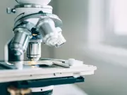 End DEI Targets in Federal Research Funding: Jack Mintz