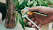 Essential Gardening Toolkit Additions for 2026: 15 Must-Have Products