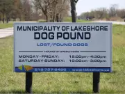 Essex Council Demands Review After Lakeshore Dog Pound Reports Inaccurate Euthanasia Data