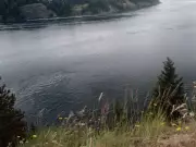 Family of hiker killed by tree on Vancouver Island trail demands better monitoring