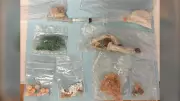 Fentanyl Worth $15,000 Seized During Child Well-Being Check in Nova Scotia