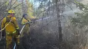 Fire Department Urges Caution After Brush Fire in Fundy Shores, N.B.