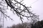 Freezing Rain Descends on Winnipeg and Southeast Manitoba, Creating Hazardous Conditions
