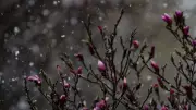 From Wind Chills to 20°C: London Braces for a Milder Weather Stretch Ahead