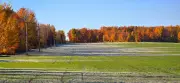 Frost and Freezing Temperatures in Friday's Forecast for Kitchener