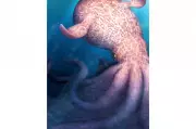 Giant Kraken-Like Octopus May Have Roamed Dinosaur-Era Seas
