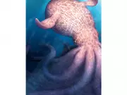 Giant Kraken-Like Octopus Was Apex Predator Millions of Years Ago