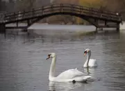 GO Train Service Expansion to Stratford Announced, Enhancing Regional Connectivity