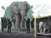 Government Procurement Bias Against Off-the-Shelf Solutions Explained