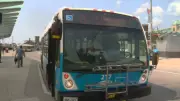 Guelph Transit's GuelphNewsOnYourWay Mobile App to Be Phased Out
