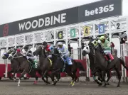 Haley's Honor Triumphs in Woodbine's 2026 Season Opener Amid Rainy Start