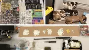Hamilton Police Seize Drugs, Weapons, and Puppies in Major Raid Operation