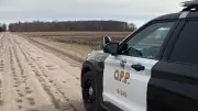 Highway 9 Shut Down in Palgrave After Transport Truck Rollover and Diesel Spill