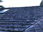 Houseworks: Roof and Deck Maintenance Tips from Handyman Steve Maxwell