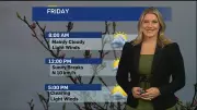 London's Weather Break: Sunny Friday Precedes Unsettled Weekend Conditions
