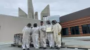 MacEwan University Celebrates 10 Years of Urban Beekeeping Success