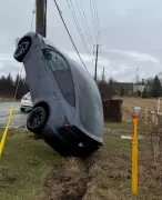 Mississauga Driver Climbs Hydro Pole in Burlington Crash; Hamilton Police Report Multiple Incidents