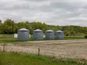 Monette Farms' $900M Debt: Can 400K Acres Be Seeded?