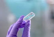NASA Sends 'Organ Chips' of Artemis II Crew into Space for Research