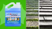 No-Scrub Outdoor Cleaner That Works Better Than a Pressure Washer for $30