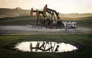 Oil Industry Holds Steady on Investment Despite Rising Crude Prices