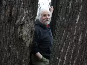 Ottawa Elm Tree Felled for LRT Gets New Life as Library Coffee Table