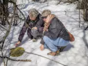 Ottawa Forest Therapy: Deep Breathing and Turkey Deterrence in Nature