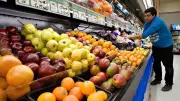 Ottawa Mayor Opposes Municipal Grocery Stores as Councillor Pushes Food Access Plan