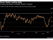 Record Stock Market Rally Hides Underlying Weaknesses and AI Risks