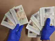 Regina Man Fined $75K for Falsifying 31 Immigration Documents