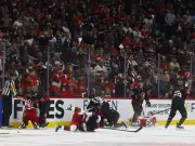 Ridly Greig's Sucker-Punch Leads to NHL Player Safety Hearing