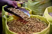Salmonella Pistachio Outbreak Reaches 189 Cases After One Year