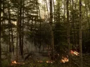 Saskatchewan Boosts Wildfire Readiness with Enhanced Resources for 2026 Season