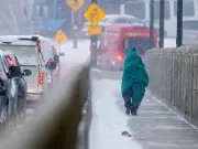 Saskatoon Proposes Navigation Hub to Address Homelessness Crisis