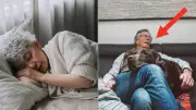 Sleep Disturbances Could Signal Early Dementia Risk, Experts Warn