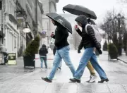 Spring Arrives, But Winter Lingers: When Will Nature Catch Up?