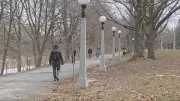Spring's Arrival Stalls in Canada as Wintry Conditions Persist in Many Regions