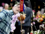 St. Albert Orchid Fair Blooms with Over 400 Flowers and 3,000 Visitors Expected