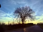 Stormy Start to the Week in Windsor-Essex with Persistent Rain Forecast