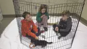 Students Make Recycled Toys for Shelter Animals in Edmonton Class Project