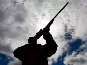 Supreme Court Divided on Quebec Gun Registry Data Destruction Order