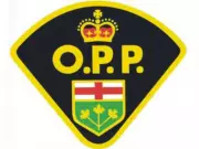 Tecumseh Man Charged with Multiple Theft and Trespassing Offenses
