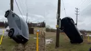 Tesla Crashes into Utility Pole, Ends Up Vertical in Hamilton