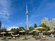 Toronto Braces for a Week of Above-Average Spring Temperatures