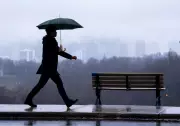 Toronto Braces for More Rain and Dense Fog on Thursday
