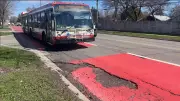 TTC Bus Passengers Endure Bumpy Ride on Pothole-Riddled Scarborough Express Route