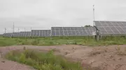 Two Major Solar Projects Approved for Southwestern Ontario, Boosting Renewable Energy