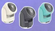 Vornado Flippi V6: A Renter's Hack for Bathroom Humidity Without an Exhaust Fan