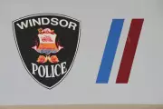 Windsor Police Seize Drugs and Firearm, Arrest Suspect in Major Operation